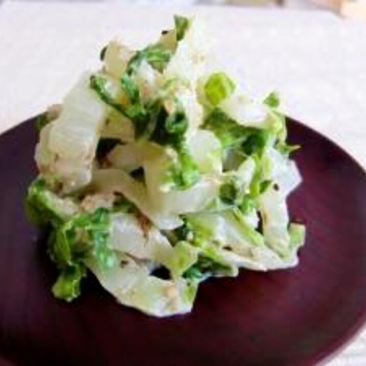 冬場のおいしい白菜で☆白菜サラダ